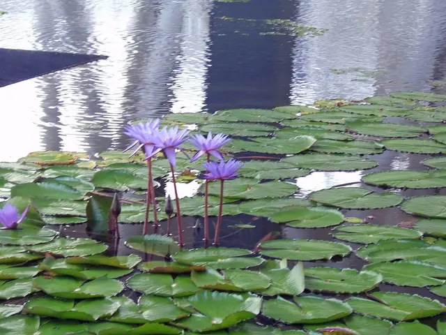 Restoring an Orchid: Exploring 5 Methods for Revitalization