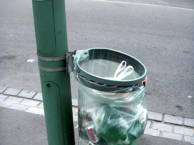 Downtown Winnipeg to Introduce Secured Trash Containers