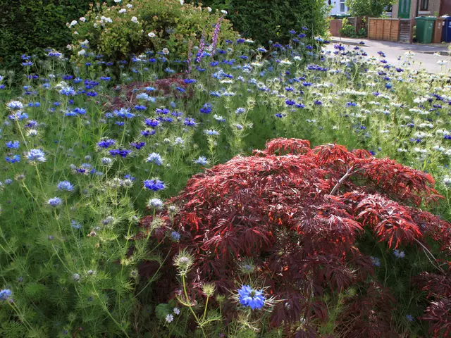 Strategies for Concealing Rubbish Bins in a Front Yard, as a Designer Reveals Secrets to...