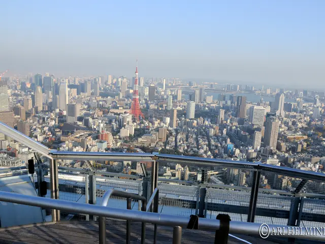 Urban Singapore's Transformation into a Refuge for River Otters in the Metropolis