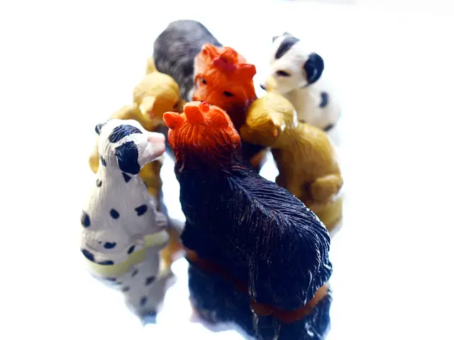 Racing to New Heights: LEGO Unveils Initial LEGO Super Mario: Mario Kart Playsets