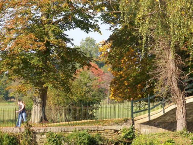 Strengthening Friendships: 7 Methods of Natural Bonding Experiences that Foster Stronger...