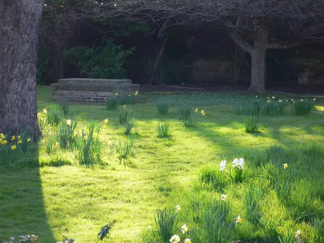 Garden Tasks for Fall: Sissinghurst's chief gardener offers insights on autumn garden chores