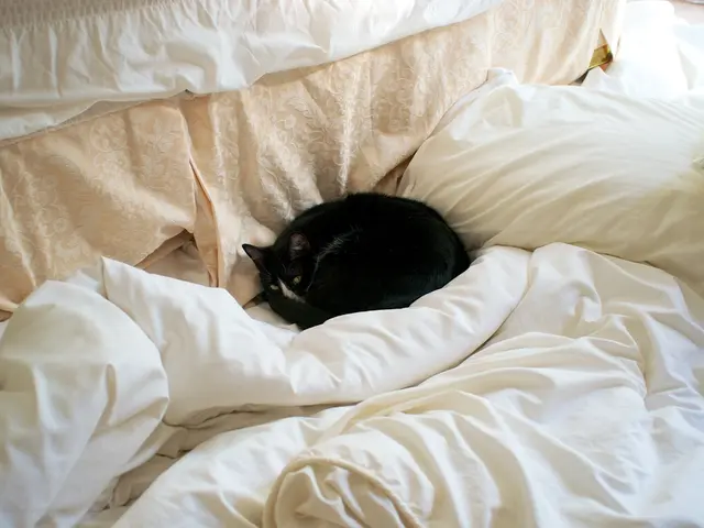 Twenty-six warm and comfortable items that likely should be incorporated into your cold-weather...