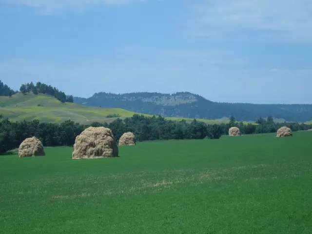 Capturing Morning Dew: Institute Awe and Wonder