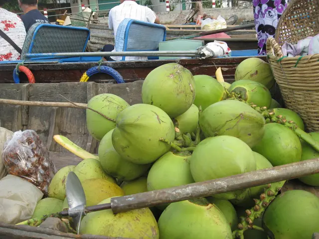 "Cheaters" to Headline Tomsk's "Topor" Event