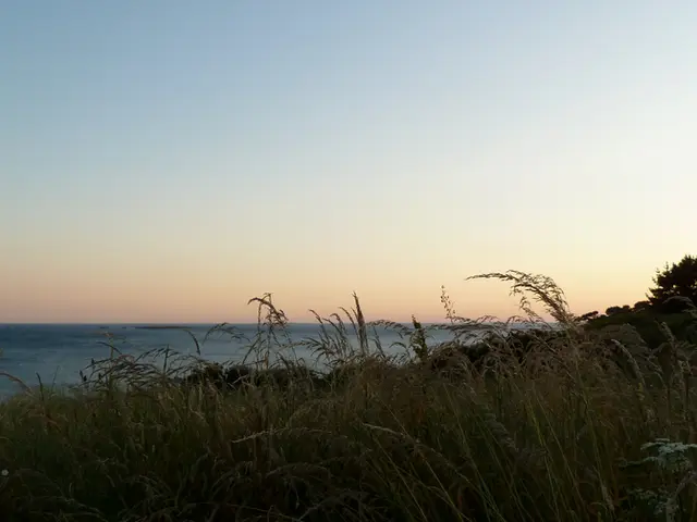 Addressing an Overwatered Lawn Predicament: Solutions and Remedies