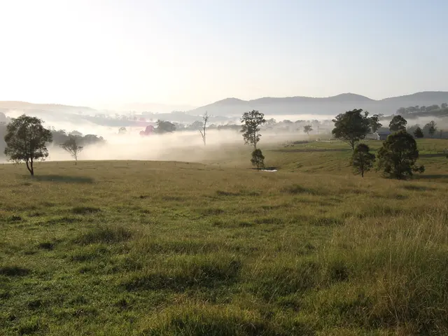 Instructions for Planting a Hedge