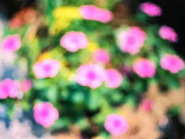 "2024's Preferred Floral Specimen: Specialists Endorse Philodendron as the Hottest Green Trend of...