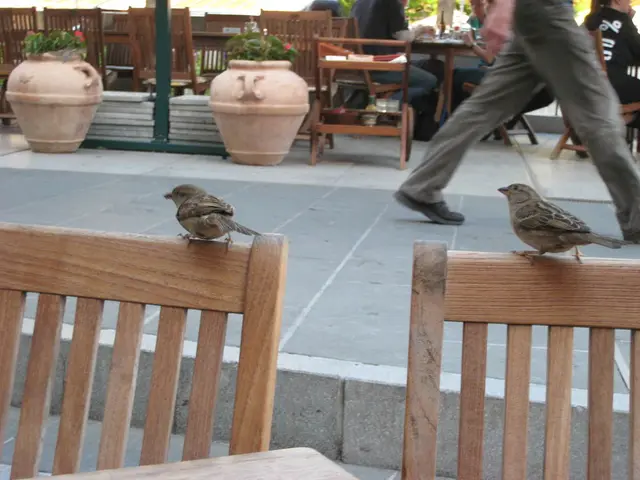 Elderly individuals with minimal mobility, flavoring their journeys with coffee while navigating...