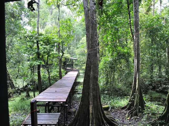 Wildlife Stroll: An Exploration Through Nature's Realm