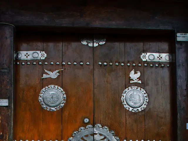 Development of Kalamein Doors: A Look at Their Innovation and Purpose