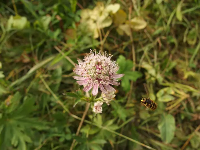 Harmless-Seeming Pests and Their Devastating Impact on Your Flora