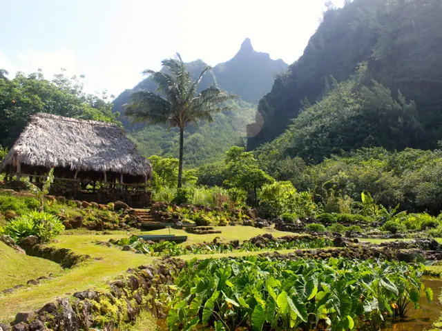 Warning Signs for Eavestrough Repair in Toronto's Weather Conditions