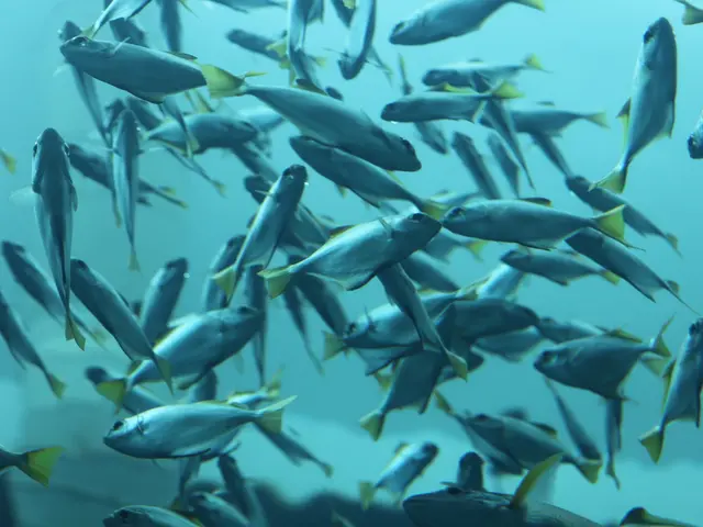 Foreign Secretary of Britain enjoys a fishing expedition alongside J.D. Vance, yet there's an...