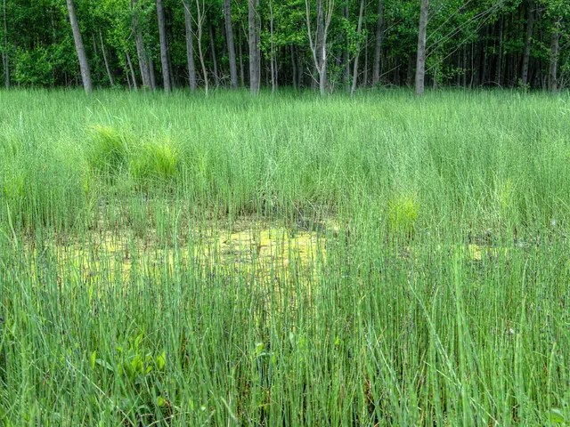 Communiqué from the Founder of Agriculture on Wheels