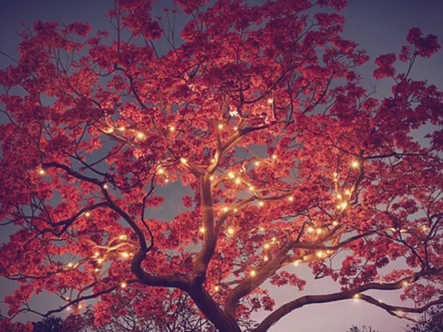 "This evening, a visit was made with the intention of immersing in the ambiance of darkness. The...