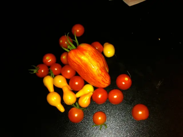 Quick Guide: Simple Fruits Thriving in Limited Garden Areas