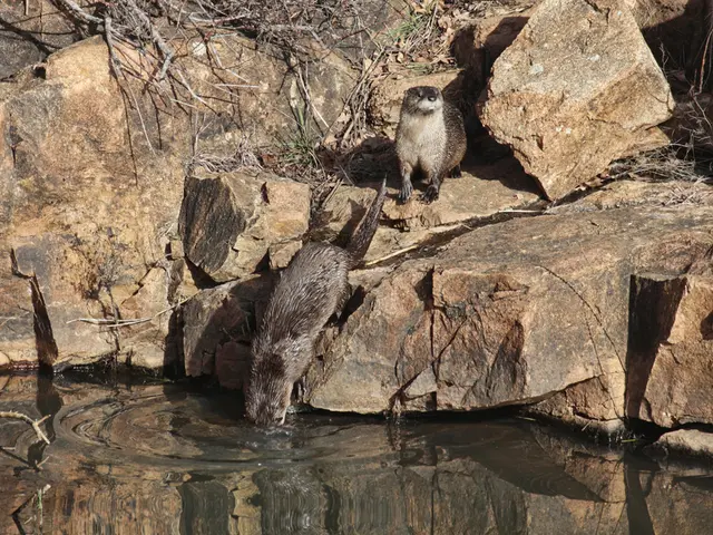 Stroll Through Wildlife Sanctuary