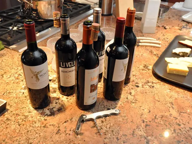 Kitchen Upgrade: 25 Signature Items to Elevate Your Culinary Experience at Home