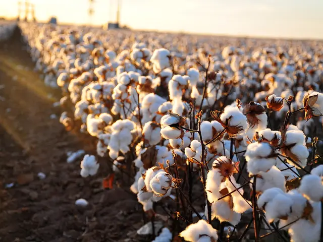 Guide on Cultivating and Maintaining Nutrient-Rich Garden Earth