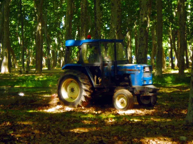 Recommended robot lawn mower for inclined landscapes: The one I'd opt for