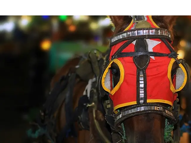 Uncovered Aspects of Tarek El Moussa and Heather's Lifestyle Revealed in The Flip Off