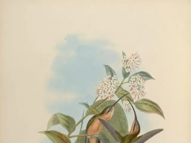 Innovative Methods for Sunflower Charcoal Sketching: Exploring Unusual Techniques