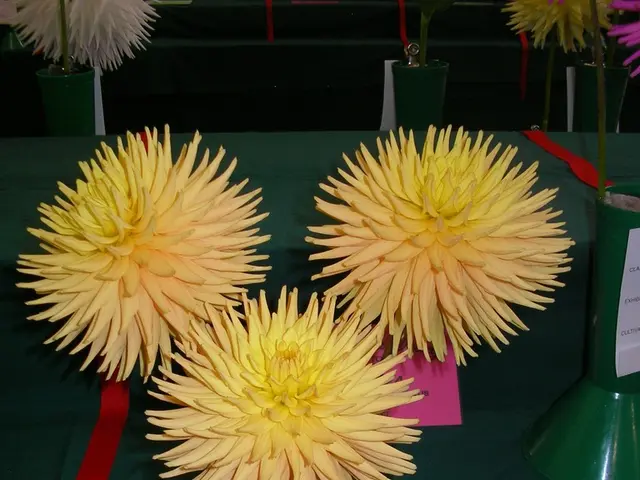 Pierce Brosnan and Hering Berlin's ceramic vases showcase themes of love, sorrow, and rebirth