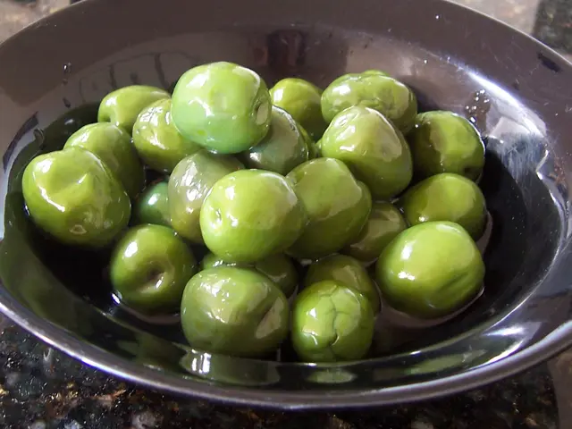 Cultivating Olive Trees in Containers: A Low-maintenance, Evergreen Plant Ideal for Minimal effort