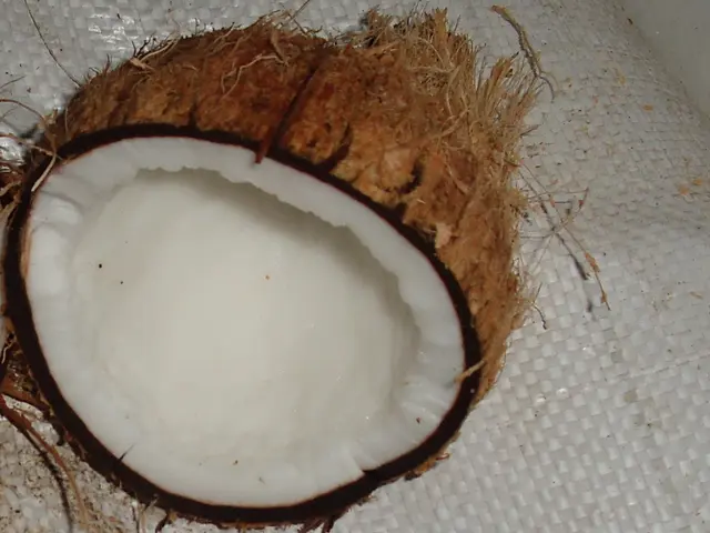 Seven Coconut Oils to Leave Your Skin Gorgeous and Radiant