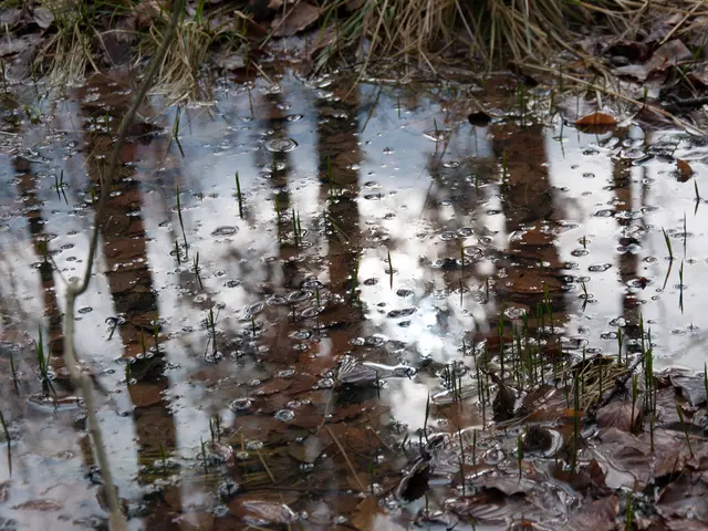 Unorthodox method discovered for removing stubborn hard water stains on glass, sparking my...