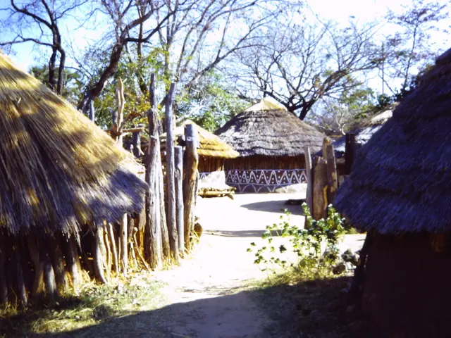 Shedding Panting Excessively