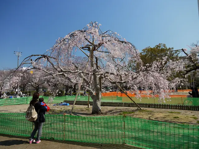 Hiking with Infants in Carriers on a Daily Basis