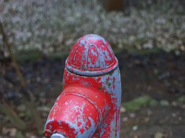 Essential Guidelines for Operating and Managing a Plumbing Business!