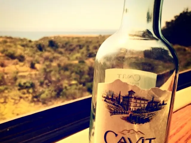 Guide for Cultivating Ginseng from Seeds: Essential Techniques for Ginseng Propagation