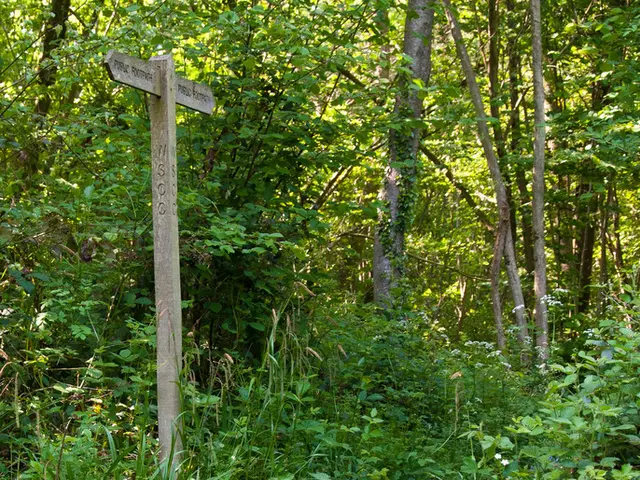 Crossword solutions and hints for NYT's September 19, 2025 edition