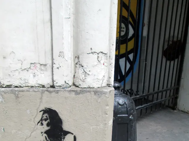 Garage Entry Redesign: Exploring Various Aesthetic Choices, Safety Advantages, and Monetary...