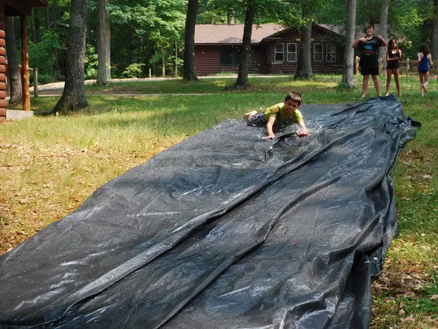 Young leader appointed as Regional Council Youth Director in Regensburg