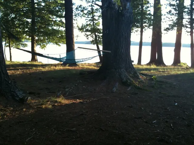 In this image we can see one hammock and trees. At the bottom of the image land is there with some...