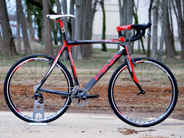 This is bicycle, these are trees.