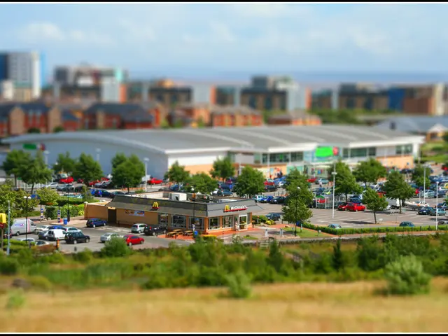 In this image, there are some green color plants and trees, there are some cars, there are some...