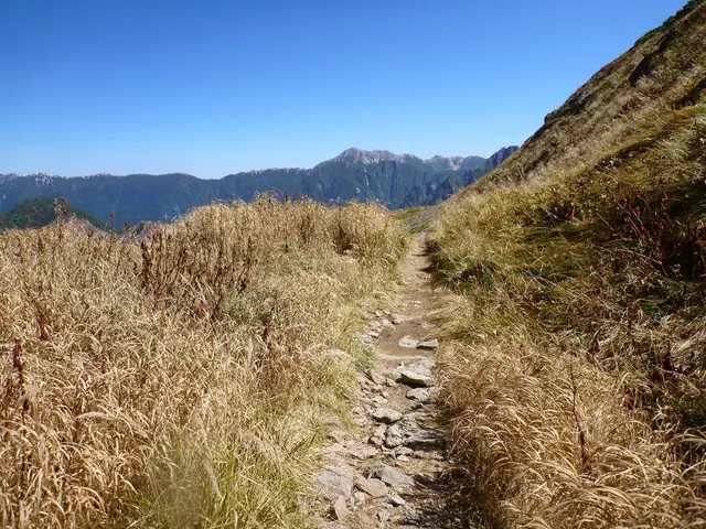 In the image there are plenty of small plants and there is a path in between those plants, on the...